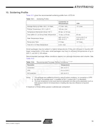 AT91FR40162-CI-T Datasheet Page 19