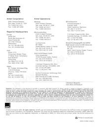 AT91FR40162-CI-T Datasheet Page 23