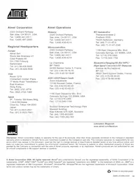 AT91FR4042-CI-T Datasheet Pagina 22