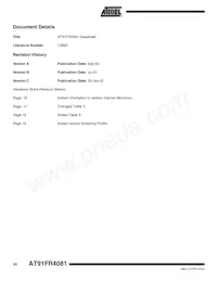 AT91FR4081-33CI Datasheet Page 20