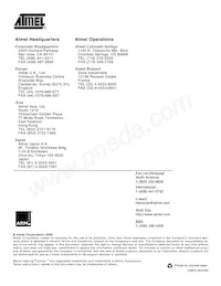 AT91M63200-25AI Datasheet Pagina 12