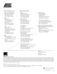 AT91R40807-33AU Datasheet Pagina 19