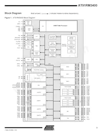 AT91RM3400-AU-002 Datenblatt Seite 3