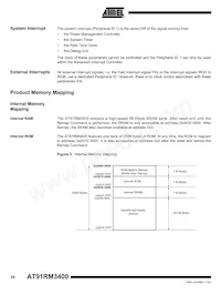 AT91RM3400-AU-002 Datasheet Page 20