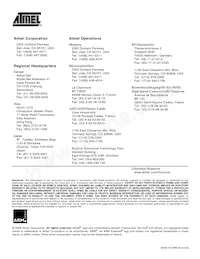 AT91SAM7A1-AU Datasheet Page 17