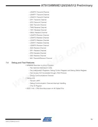 AT91SAM9XE512-QU Datasheet Pagina 19