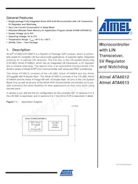 ATA6613P-PLQW Datenblatt Cover