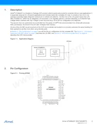 ATA664251-WGQW-1 Datasheet Page 2