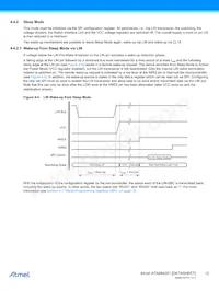 ATA664251-WGQW-1 Datasheet Page 12