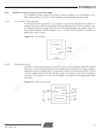 ATAM893T-TKSYD Datasheet Pagina 17