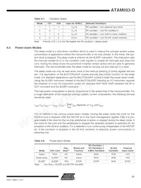ATAM893T-TKSYD Datasheet Page 21