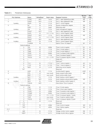 ATAM893T-TKSYD Datasheet Pagina 23