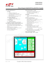 C8051F019 Datasheet Cover