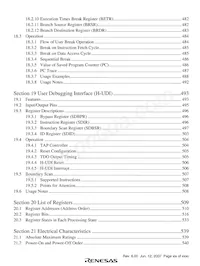 D17618ABGW100V Datasheet Page 21