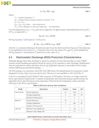 MCF51EM256CLK Datasheet Page 19