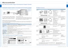 ML610Q794G-NNNTPZ0BX Datasheet Page 13