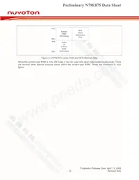 N79E875RALG Datasheet Pagina 13