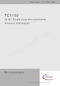 SAF-TC1100-L150EB BB Datasheet Page 3