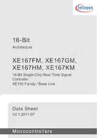 SAK-XE167KM-72F80L AA Datasheet Page 3