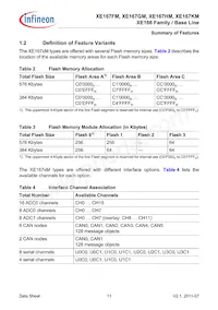 SAK-XE167KM-72F80L AA Datasheet Pagina 11