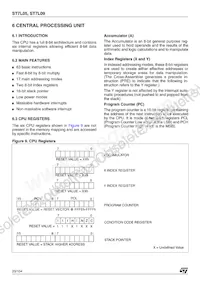 ST7FL09Y0MAE Datasheet Page 20