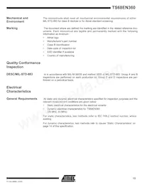 TS68EN360VA33L Datasheet Page 13