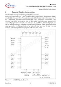 XC2269I136F128LAAKXUMA1 Datenblatt Seite 12