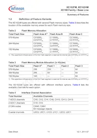 XE162HM72F80LAAFXUMA1 Datasheet Page 11