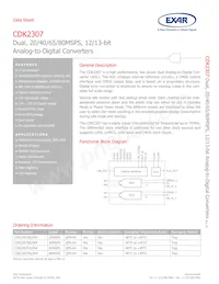 CDK2307DILP64 Datasheet Copertura