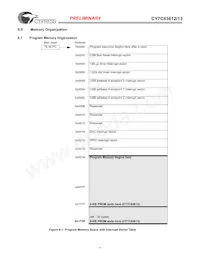 CY7C63613-SC Datasheet Pagina 11