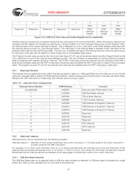 CY7C63613-SC Datenblatt Seite 22