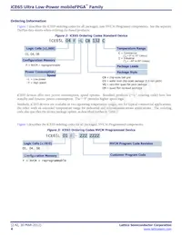ICE65L08F-TCS110I Datasheet Page 4