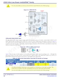 ICE65L08F-TCS110I Datasheet Page 20
