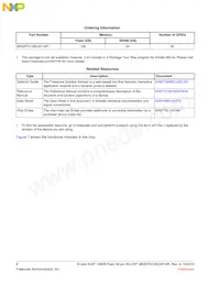 MK22FN128CAK10R Datasheet Page 2
