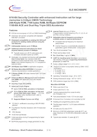SLE 66CX680PE MFC5.8 Datenblatt Seite 3