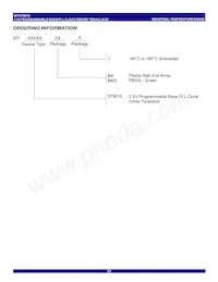 5T9010BBGI8 Datasheet Page 23