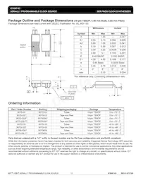 ICS307G-03T Datenblatt Seite 12