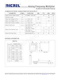 PL565-37QC Datasheet Page 11
