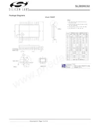 SL28SRC02BZIT Datasheet Pagina 13