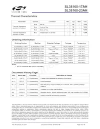 SL38160AZC-17AH數據表 頁面 16