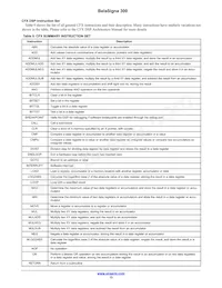 B300W35A102XYG Datasheet Page 13