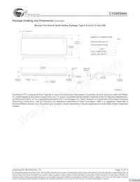 CY28RS480ZXCT Datasheet Page 14