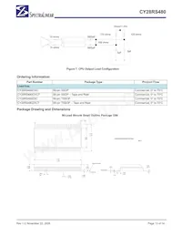 CY28RS480ZXCT數據表 頁面 13