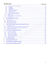 DS3104GN Datasheet Pagina 3