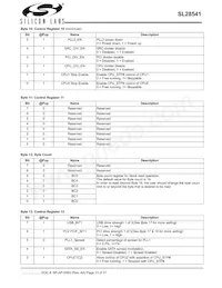 SL28541BZIT Datasheet Pagina 13