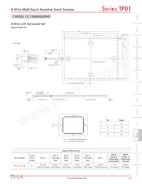 TP01190A-4KB Datasheet Page 4