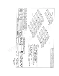 7511B81-1 Datasheet Pagina 2