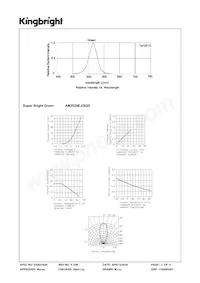 AM2520EJ/SGD Datasheet Pagina 3