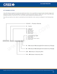 CLN6A-WKW-CK0L0453 Datasheet Pagina 10