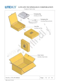 LTPL-P013MS30 Datasheet Page 13